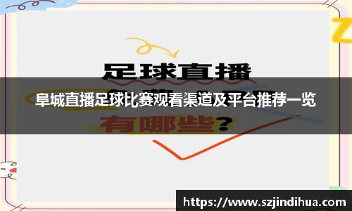 阜城直播足球比赛观看渠道及平台推荐一览