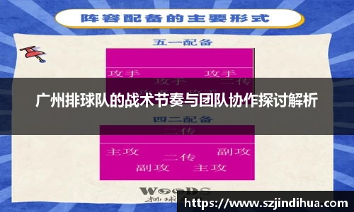 广州排球队的战术节奏与团队协作探讨解析